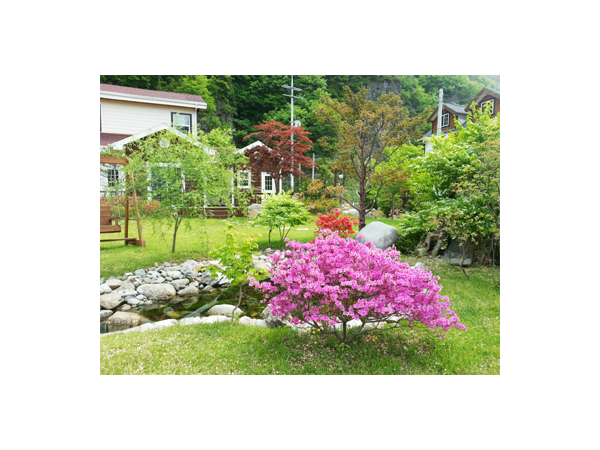 13082056_3.png