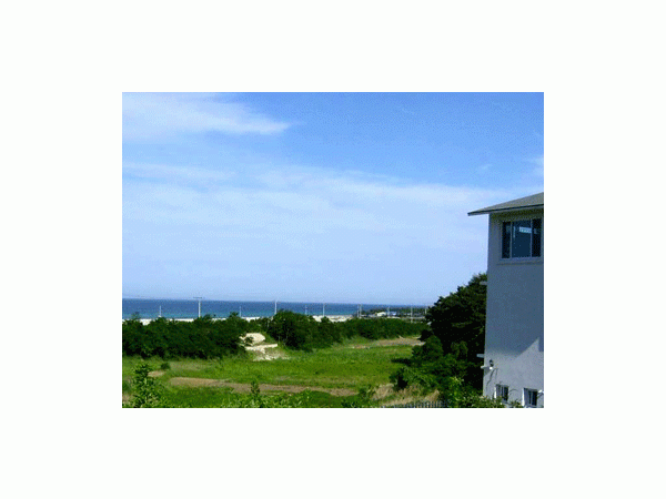 11682971_1.gif