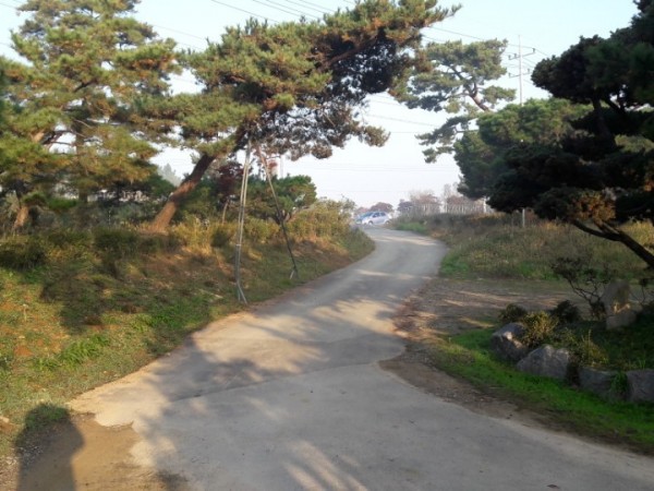KakaoTalk_20180116_105708088.jpg