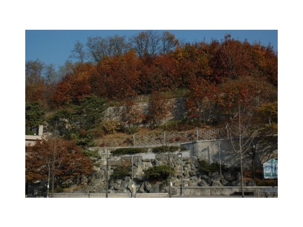 서울_구파발인공폭포_11.jpg?type=m500_500