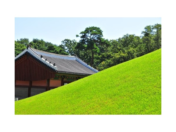 경기_경릉_4.JPG?type=m500_500