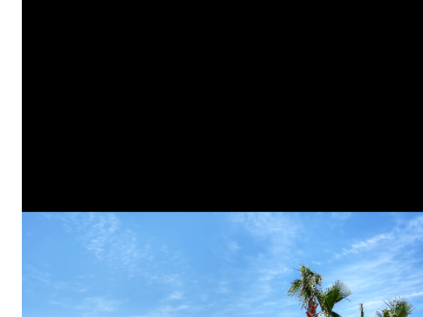 IMG_4248.PNG