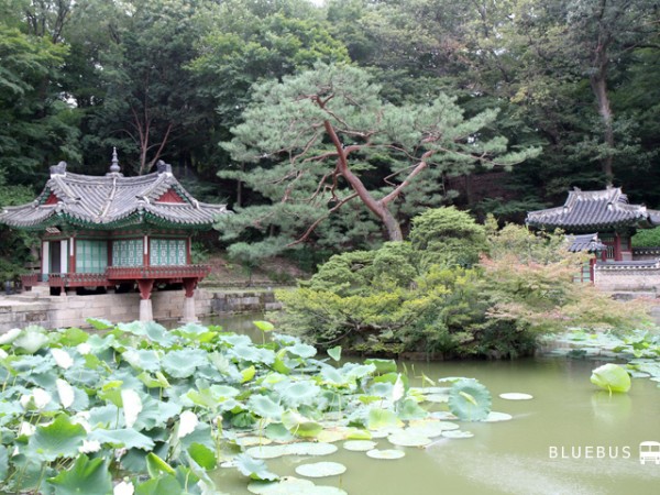IMGF7959.jpg#720x480