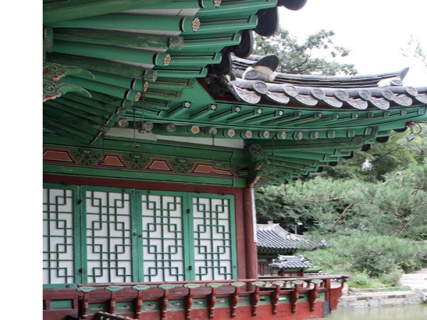 IMGF7944.jpg#480x720