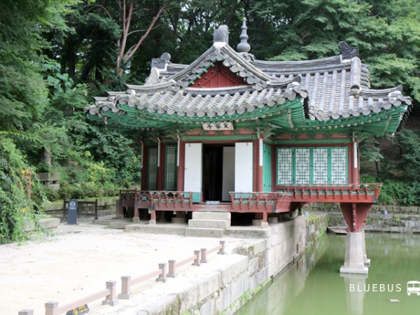IMGF7933.jpg#720x480