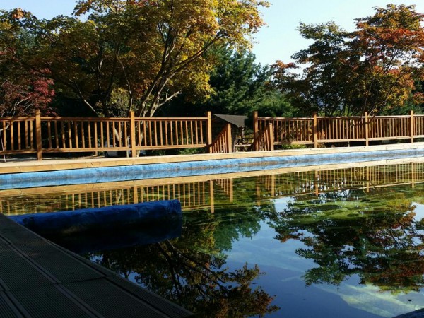 20150919_084756.jpg