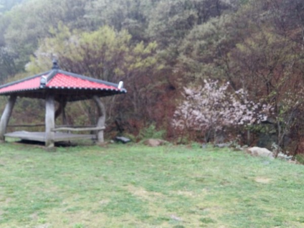 20170421_160132.jpg