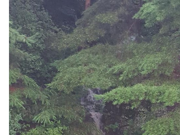 20170824_174958.jpg