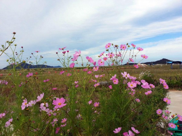 20150916_100138.jpg