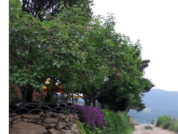 20160612_173049.jpg