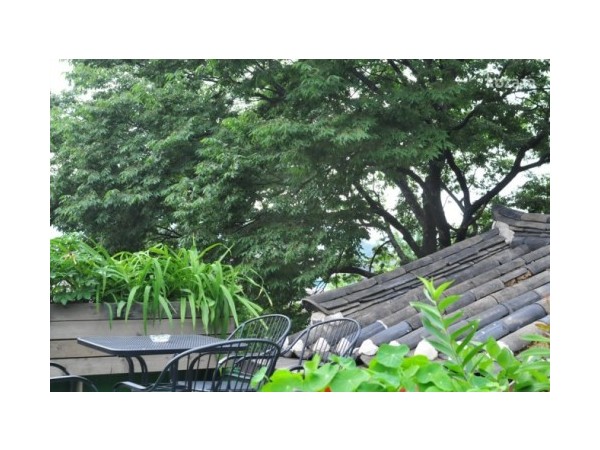 cae40f6e99615e63d448e6bed14adbd0_thumb.jpg?type=m500_500