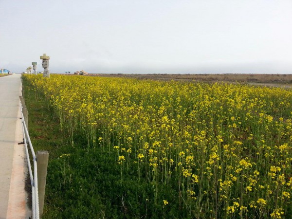20160408_162727.jpg