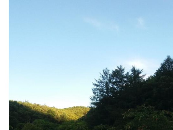 20160714_190852.jpg