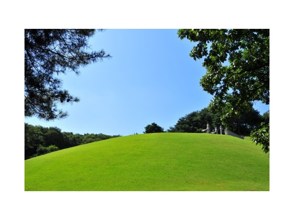 경기_경릉_3.JPG?type=m500_500