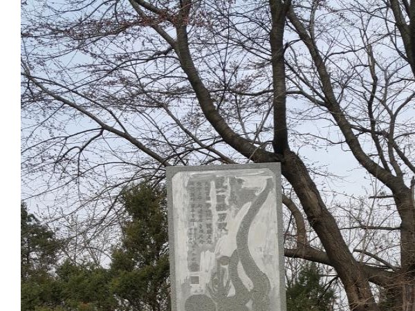 20160406_143212.jpg