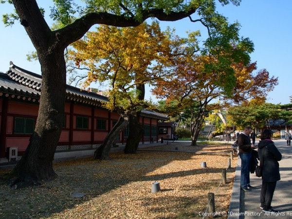 덕수궁_(5).jpg#900x600