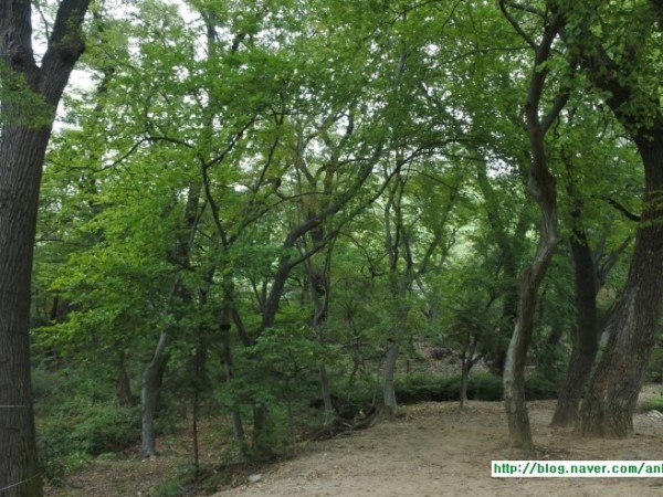 사진_031.jpg