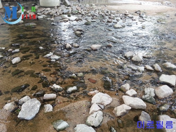 홍제천_물놀이-20150801_111844.jpg#640x480