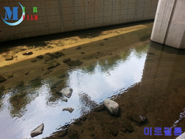 홍제천_물놀이-20150801_111619.jpg#640x480