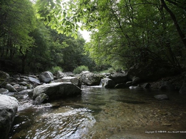 IMG_7100.jpg
