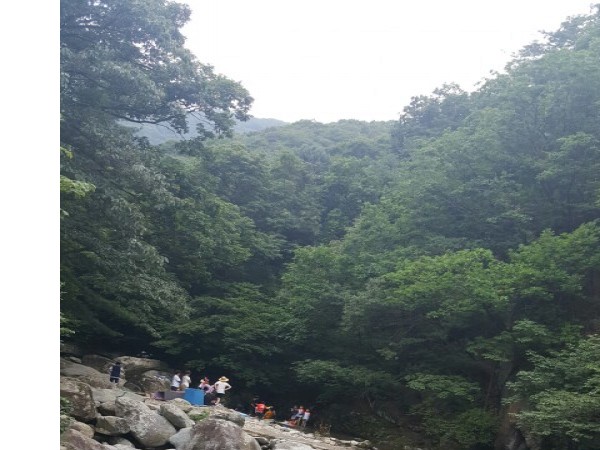 20170809_143016.jpg