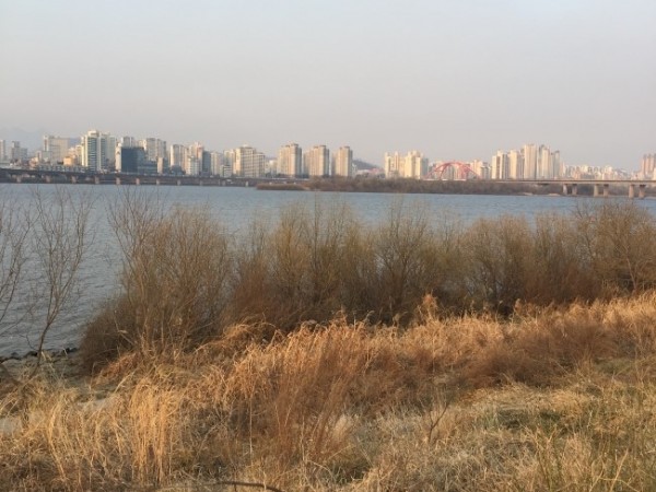 IMG_4909.JPG#650x867