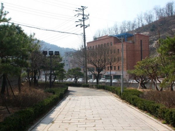 07.JPG#740x493