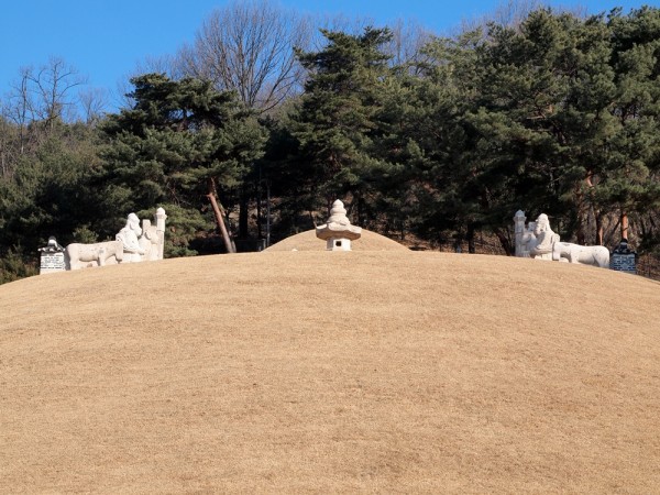 P1038519.JPG