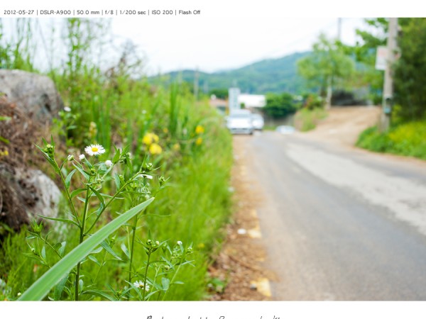 DSC01379_네이버.jpg