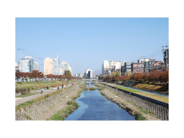서울_불광천_11.JPG