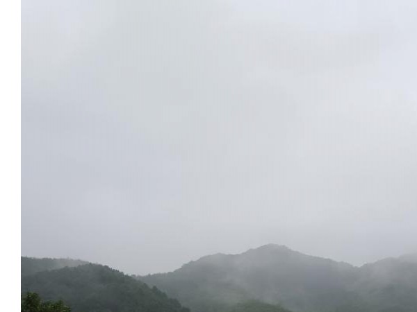 20160725_091800.jpg
