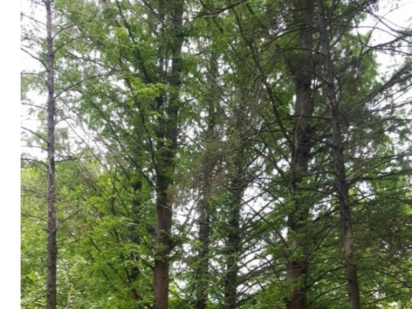 20170530_130230.jpg