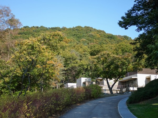 DSCF6566.jpg