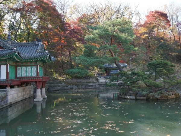 DSC00033.JPG#740x493