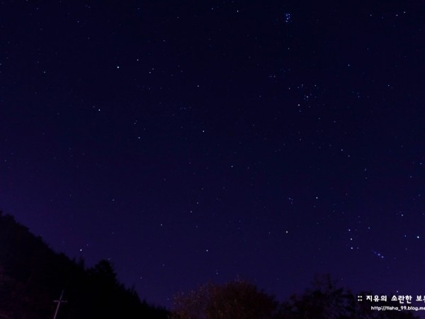 DSC08837.jpg
