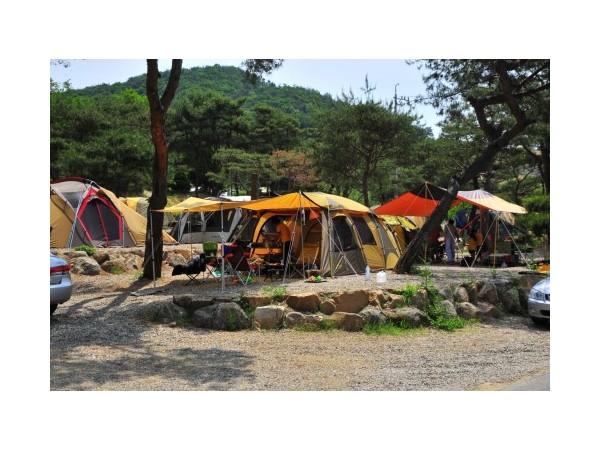경기_솔뜰캠핑장_1.jpg?type=m500_500