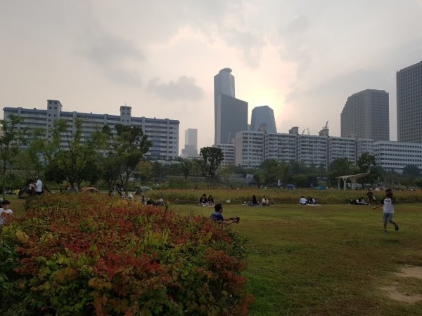 20170924_171606.jpg#740x555