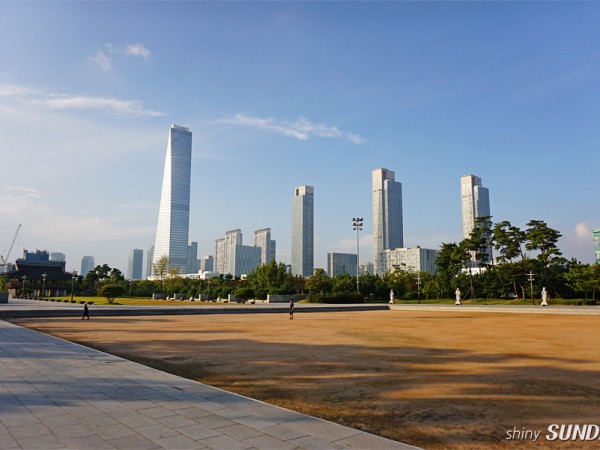 DSC09975.jpg