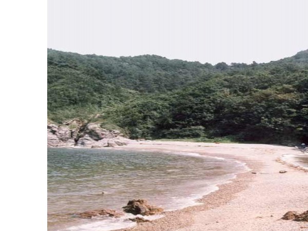 11637277_3.jpg