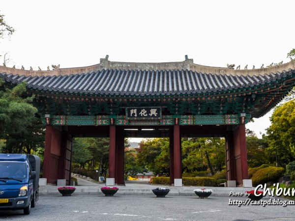 DSC_1180.jpg#930x620