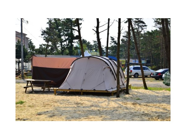 충남_마검포텐트야영장_1.JPG?type=m500_500
