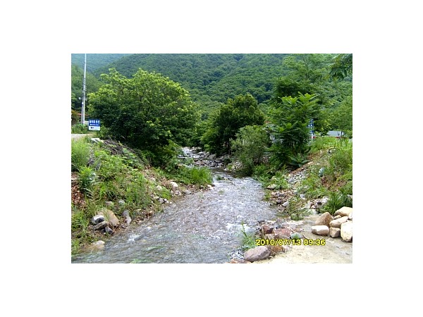 12774297_3.jpg
