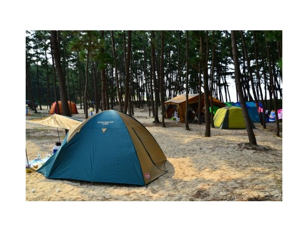 충남_마검포텐트야영장_3.JPG?type=m500_500