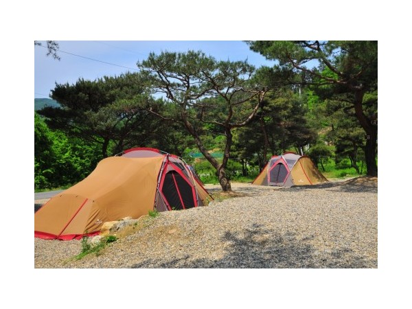 경기_솔뜰캠핑장_2.jpg?type=m500_500