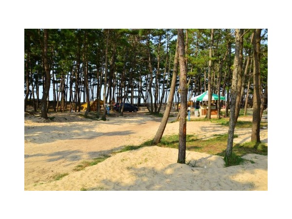 충남_마검포텐트야영장_2.JPG?type=m500_500