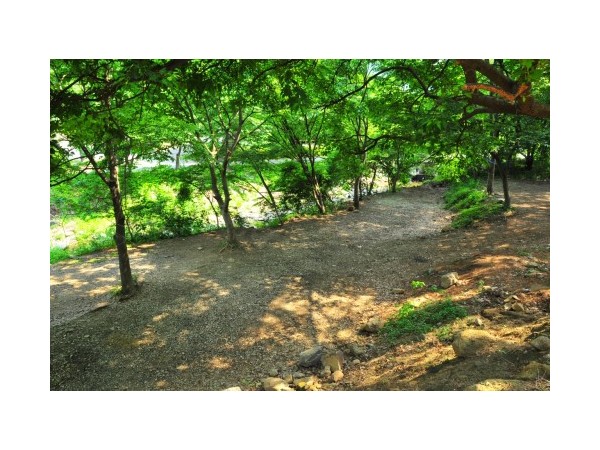경기_팔현캠프_4.jpg?type=m500_500