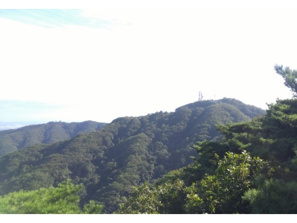 20160917_160440.jpg#740x414
