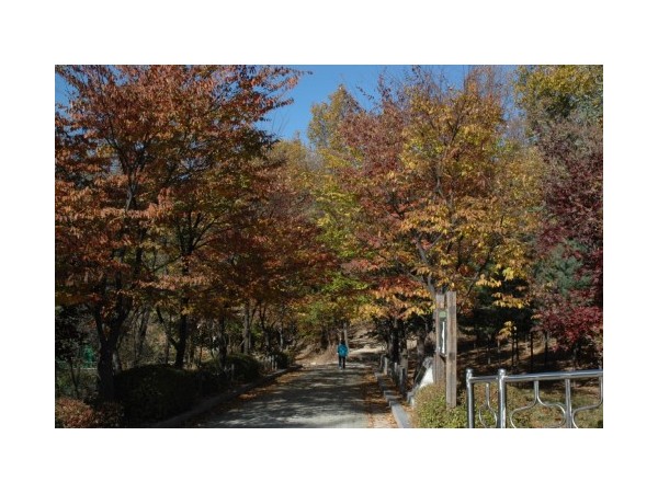 서울_쌍문근린공원_5.JPG?type=m500_500