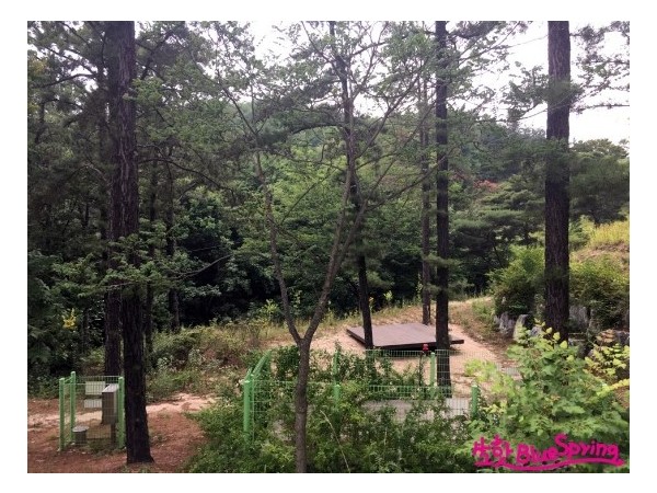 KakaoTalk_20170731_022032107.jpg