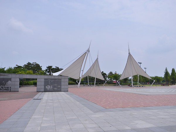 DSC_3151.jpg